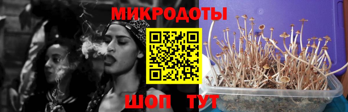 Сочи  Псилоцибиновые грибы Magic Shrooms  Вход с VPN 